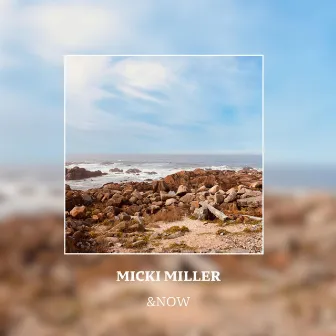 &NOW by Micky Miller