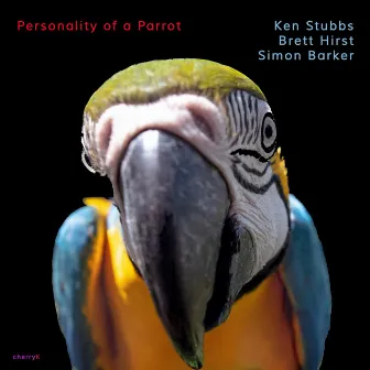 Personality of a Parrot by Ken Stubbs