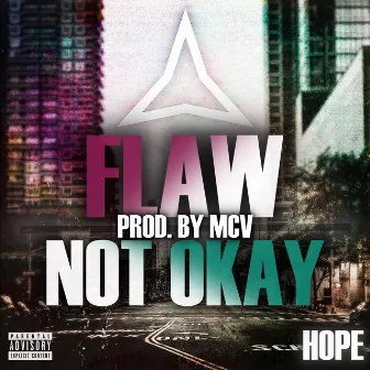 Flaw (Not Okay) by Hope