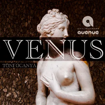 Venus by Toni Ocanya