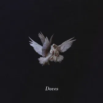 Doves by Nevaeh