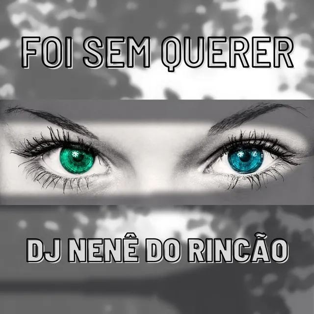 Foi Sem Querer