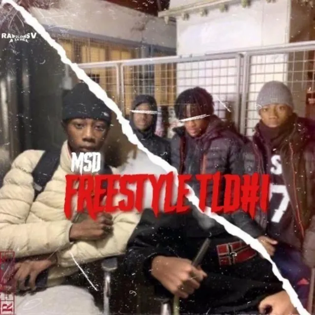 FREESTYLE TLD