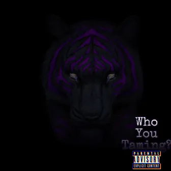 Who You Taming by Lil Dirt