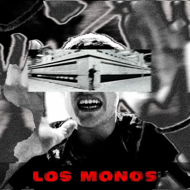 Los monos