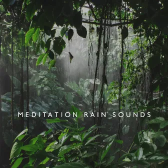 Meditation Rain Sounds - Tropical Forest, Relaxing Noise for Better Sleep, to Relief Your Daily Stress, Study, Yoga by Echoes Nature Project