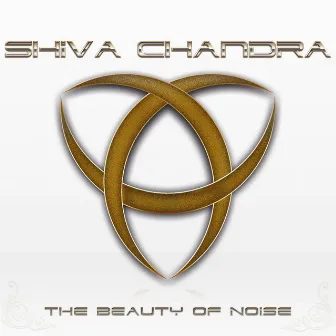 The Beauty of Noise by Shiva Chandra