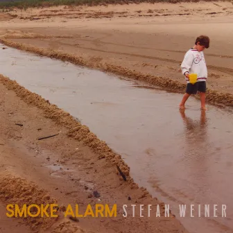 Smoke Alarm by Stefan Weiner