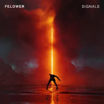 Signals by FELOWER