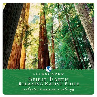 Spirit Earth: Relaxing Native Flute by Donald Quan