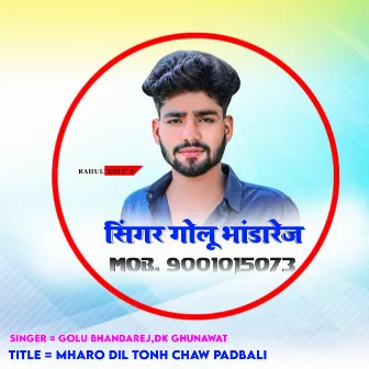 Mharo Dil Tonh Chaw Padbali by 