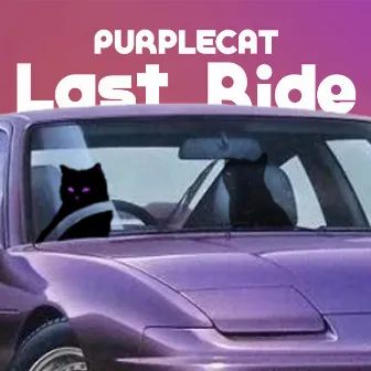 Last Ride (Dance Mix) by Purplecat