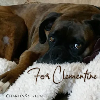 For Clementine by Charles Szczepanek