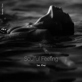 Soulful Feeling by ERMAC