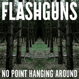 No Point Hanging Around by Flashguns