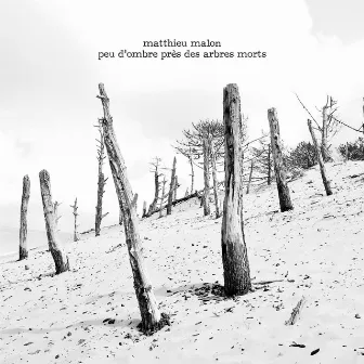 Peu d'ombre près des arbres morts by Matthieu Malon