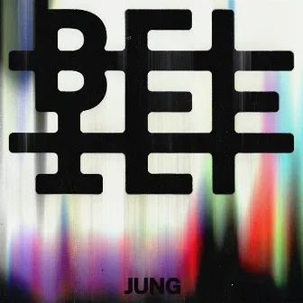 Jung by Unknown Artist