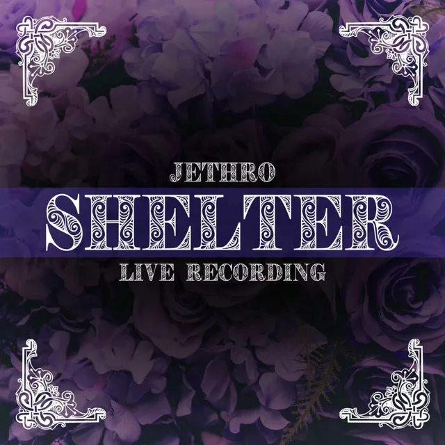 Shelter (Live Recording)