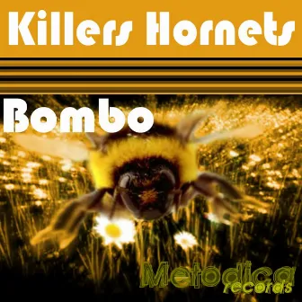 Bombo by Killers Hornets