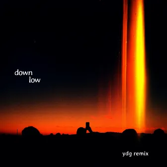 Down Low (YDG Remix) by Sorana