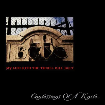 Confessions of a Knife by My Life With The Thrill Kill Kult