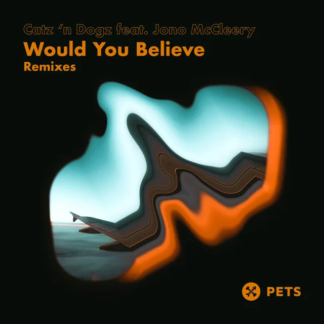 Would You Believe (Sebra Cruz Remix)