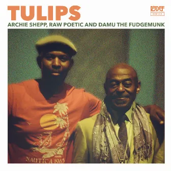 Tulips by Damu The Fudgemunk