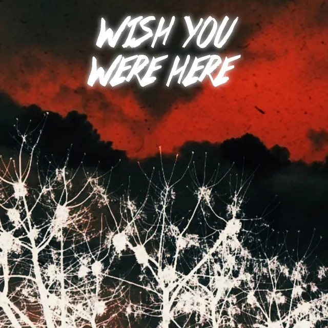 Wish You Were Here