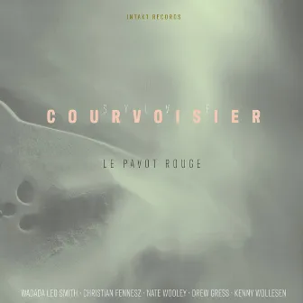 Le pavot rouge by Sylvie Courvoisier