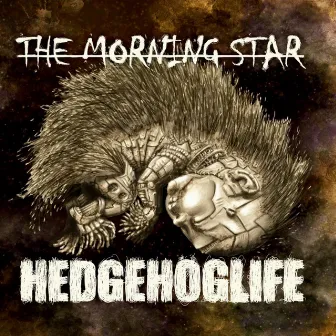 Hedgehoglife by MorningStar