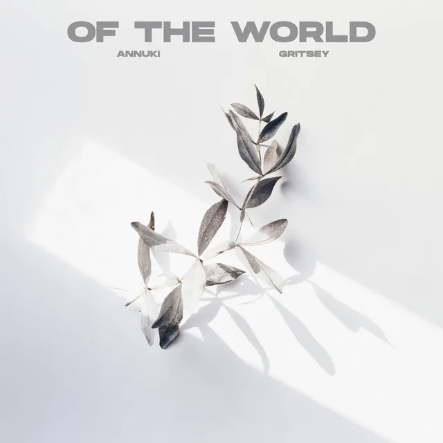 Of the world - Extended Mix