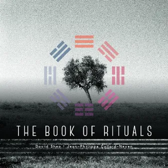 The Book of Rituals by Jean-Philippe Collard-Neven