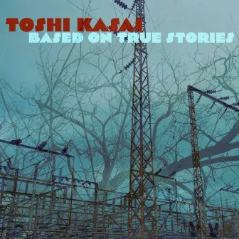 Based On True Stories by Toshi Kasai