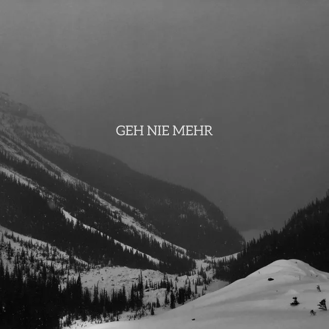 Geh nie mehr