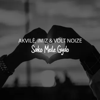 Sako meilė gydo (Radio Edit) by Volt Noize