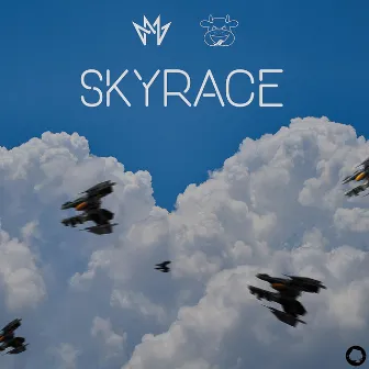 Sky Race by Raze