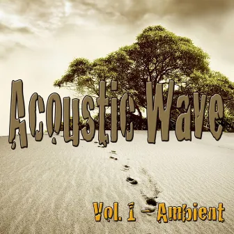 Acoustic Wave, Vol. 1 by Antonio Nasca