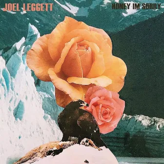 Honey I'm Sorry (Acoustic) by Joel Leggett