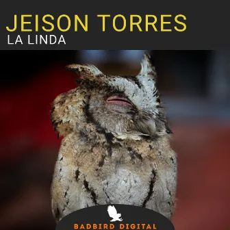 La Linda by Jeison Torres