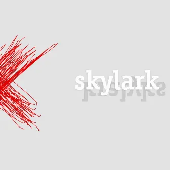 Skylark by Michele Francesconi