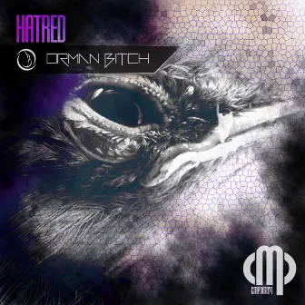 Hatred by Orman Bitch