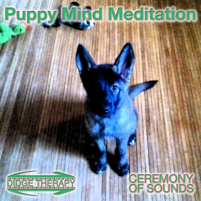 Puppy Mind Meditation - Voice Guided