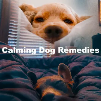 Calming Dog Remedies by Unknown Artist