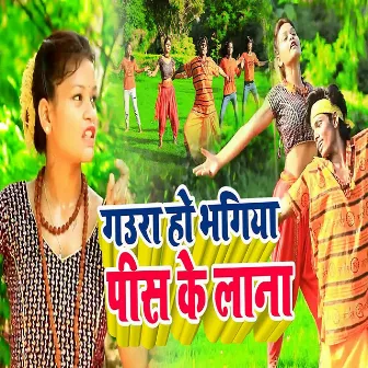 Gaura Ho Bhangiya Pees Ke Lana by Shubham Mishra