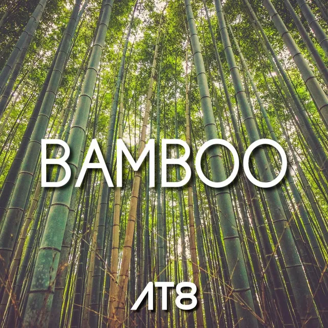 Bamboo