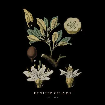 Future Graves by Hola A Todo El Mundo