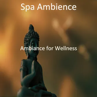 Ambiance for Wellness by Spa Ambience