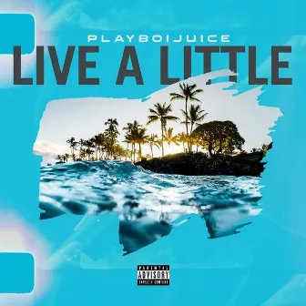 Live A Little by Playboijuice