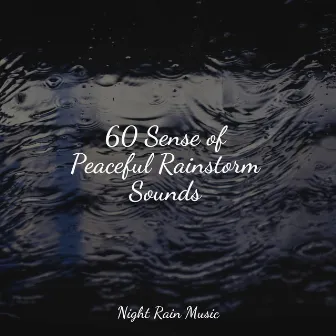 60 Sense of Peaceful Rainstorm Sounds by Soothing Music Academy