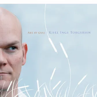 Aks av gull by Kjell Inge Torgersen